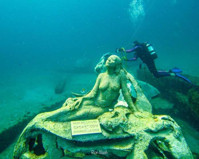 1000 Mermaids Helping to Save the Ocean