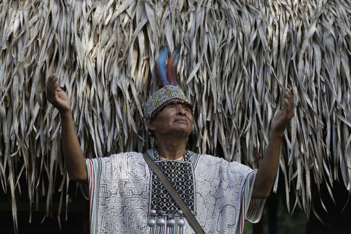 Psychedelic Tourism Thrives in Peru Despite Recent Killing